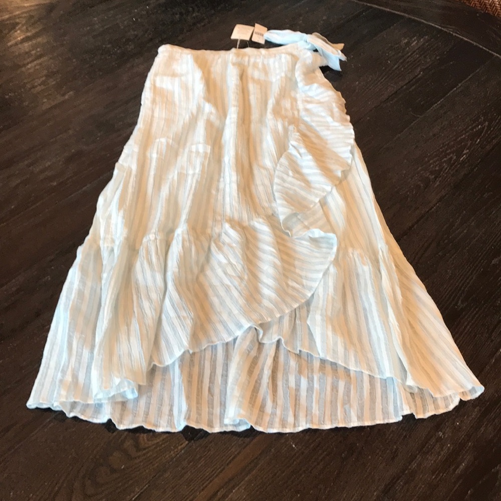 Anthropologie skirt